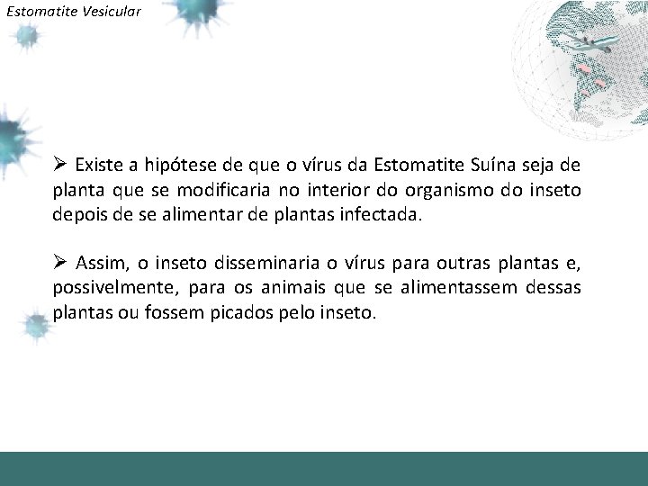 Estomatite Vesicular Ø Existe a hipótese de que o vírus da Estomatite Suína seja