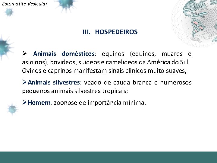 Estomatite Vesicular III. HOSPEDEIROS Ø Animais domésticos: equinos (equinos, muares e asininos), bovideos, suideos