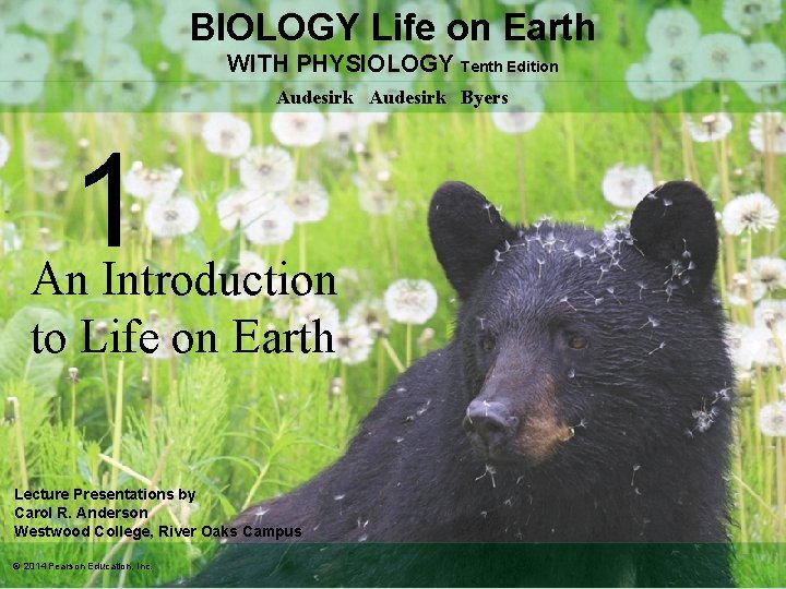 BIOLOGY Life on Earth WITH PHYSIOLOGY Tenth Edition Audesirk Byers 1 An Introduction to