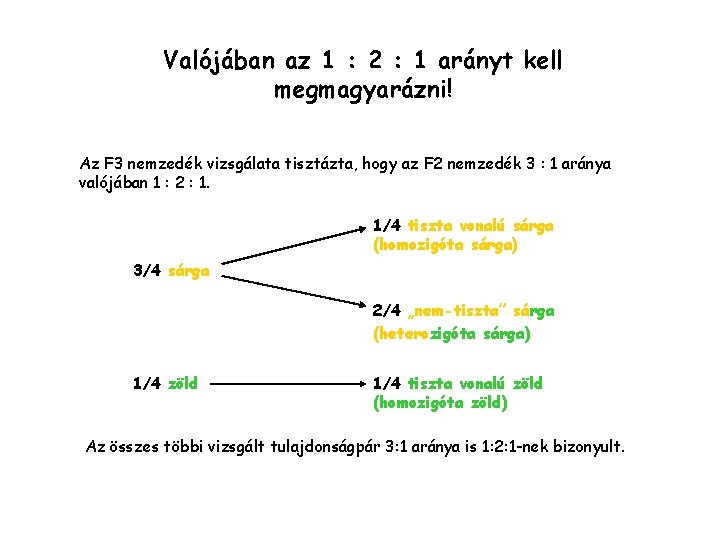 Valójában az 1 : 2 : 1 arányt kell megmagyarázni! Az F 3 nemzedék