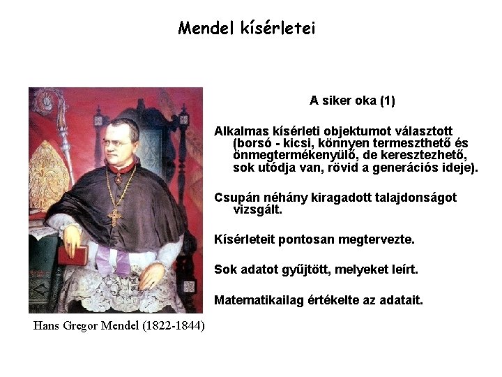 Mendel kísérletei A siker oka (1) Alkalmas kísérleti objektumot választott (borsó - kicsi, könnyen