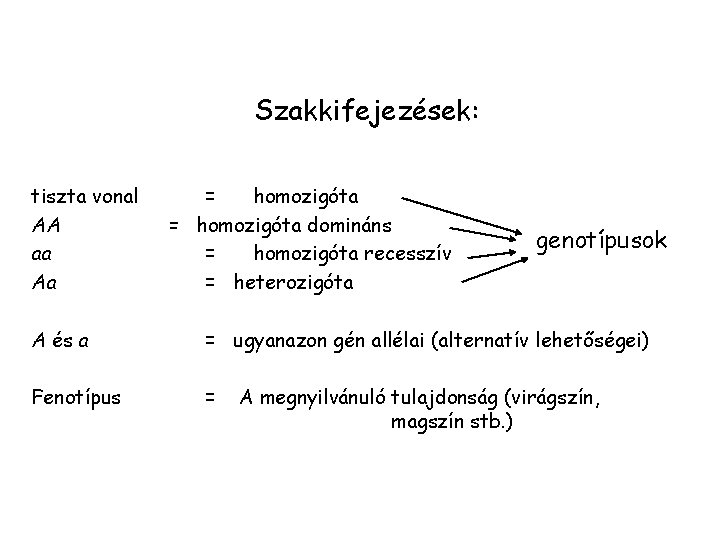 Szakkifejezések: tiszta vonal AA aa Aa = homozigóta domináns = homozigóta recesszív = heterozigóta