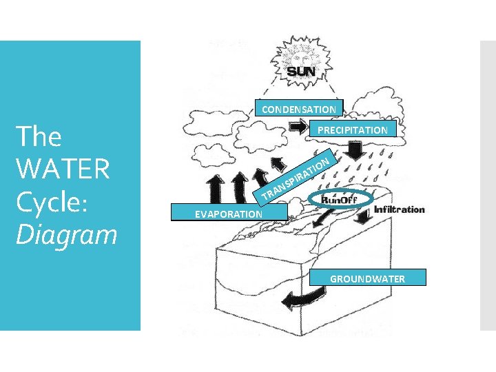  CONDENSATION The WATER Cycle: Diagram PRECIPITATION N P NS TRA TIO A IR