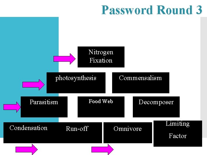 Password Round 3 Nitrogen Fixation photosynthesis Food Web Parasitism Condensation Run-off Commensalism Decomposer Omnivore