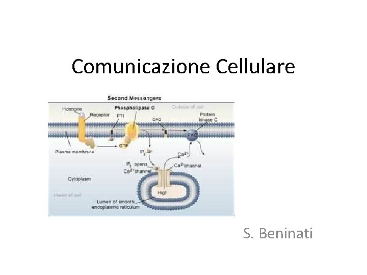 Comunicazione Cellulare S. Beninati 