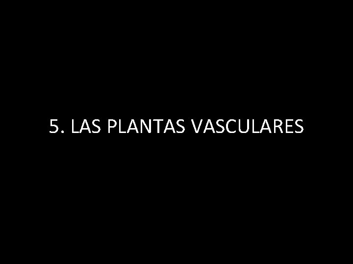 5. LAS PLANTAS VASCULARES 