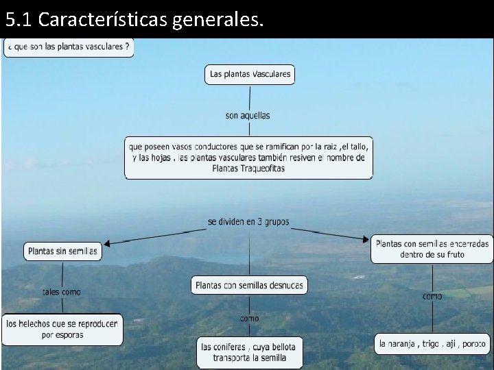 5. 1 Características generales. 