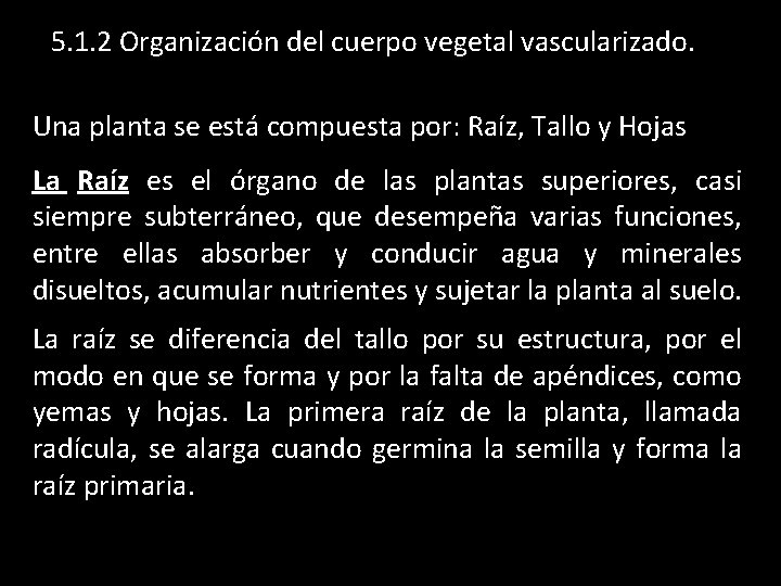 5. 1. 2 Organización del cuerpo vegetal vascularizado. Una planta se está compuesta por: