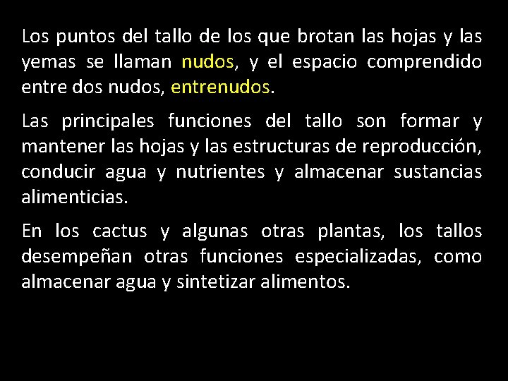 Los puntos del tallo de los que brotan las hojas y las yemas se