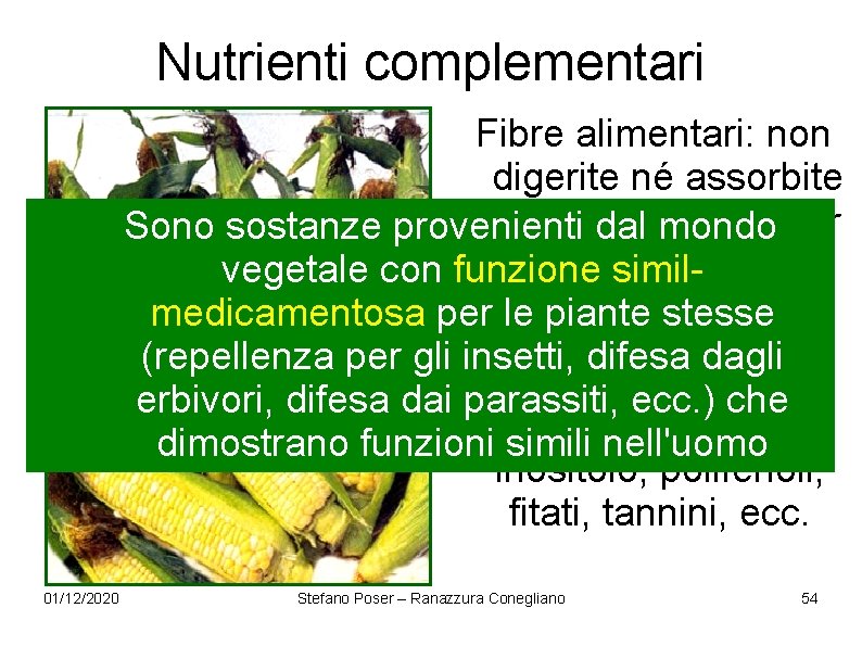 Nutrienti complementari Fibre alimentari: non digerite né assorbite (sono importanti per Sono sostanze provenienti Nutrienti complementari Fibre alimentari: non digerite né assorbite (sono importanti per Sono sostanze provenienti