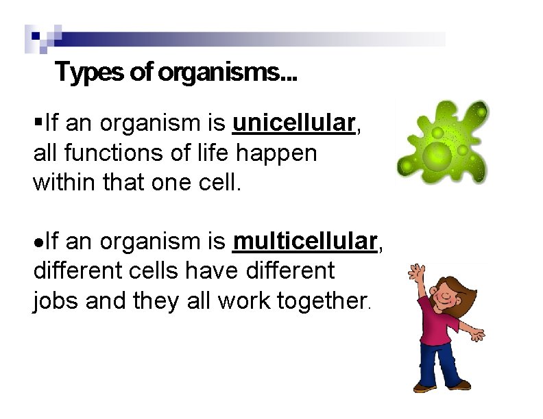Types of organisms. . . §If an organism is unicellular, all functions of life