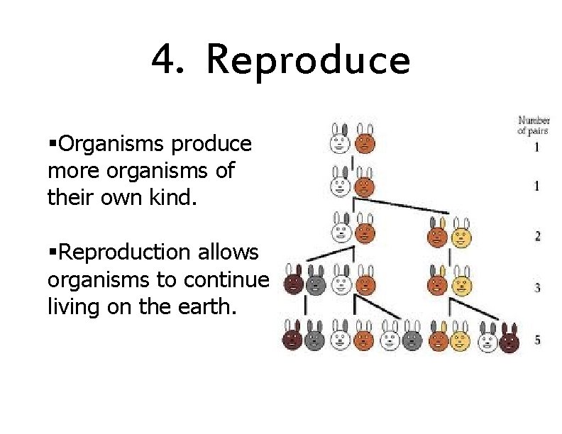 4. Reproduce §Organisms produce more organisms of their own kind. §Reproduction allows organisms to