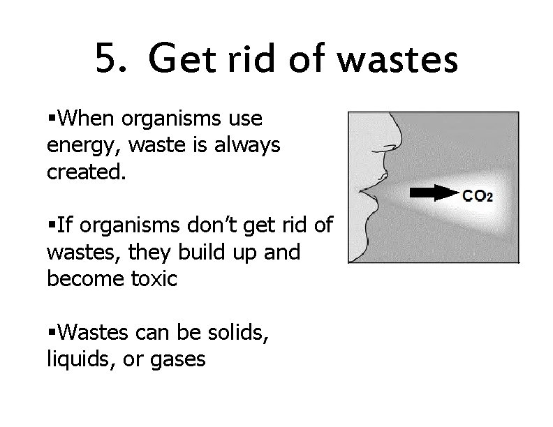 5. Get rid of wastes §When organisms use energy, waste is always created. §If