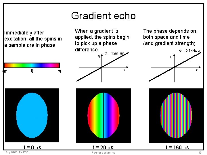 Gradient echo Immediately after excitation, all the spins in a sample are in phase Gradient echo Immediately after excitation, all the spins in a sample are in phase