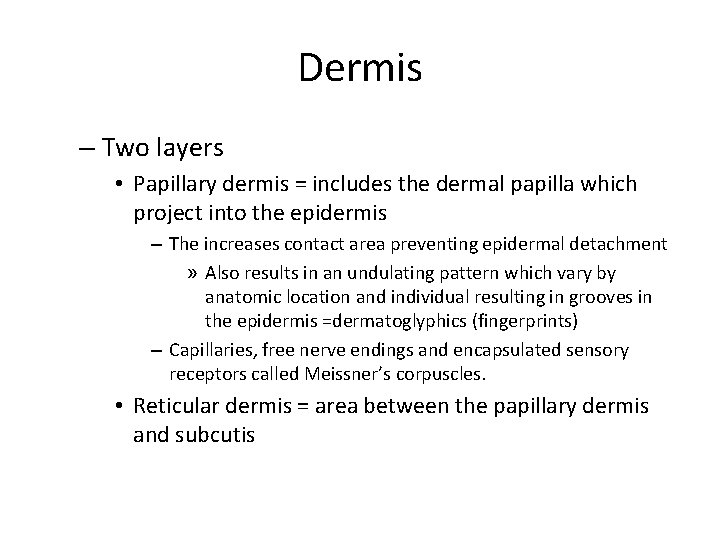 Dermis – Two layers • Papillary dermis = includes the dermal papilla which project