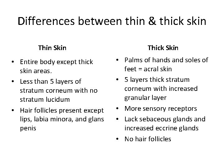 Differences between thin & thick skin Thin Skin • Entire body except thick skin