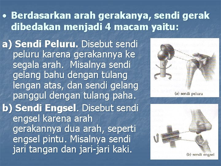  • Berdasarkan arah gerakanya, sendi gerak dibedakan menjadi 4 macam yaitu: a) Sendi