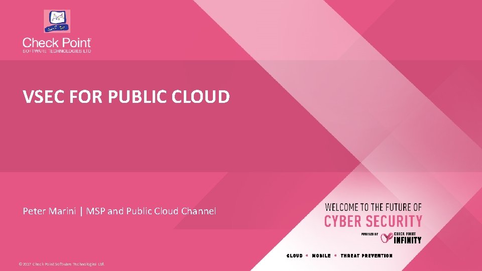 VSEC FOR PUBLIC CLOUD Peter Marini | MSP and Public Cloud Channel © 2017