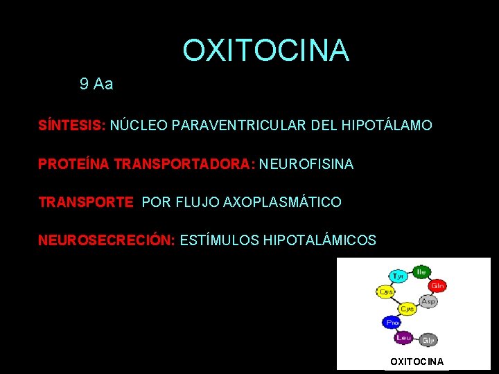 OXITOCINA 9 Aa SÍNTESIS: NÚCLEO PARAVENTRICULAR DEL HIPOTÁLAMO PROTEÍNA TRANSPORTADORA: NEUROFISINA TRANSPORTE POR FLUJO