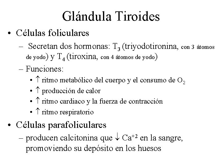 Glándula Tiroides • Células foliculares – Secretan dos hormonas: T 3 (triyodotironina, con 3