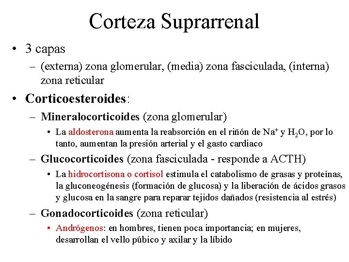 Corteza Suprarrenal • 3 capas – (externa) zona glomerular, (media) zona fasciculada, (interna) zona
