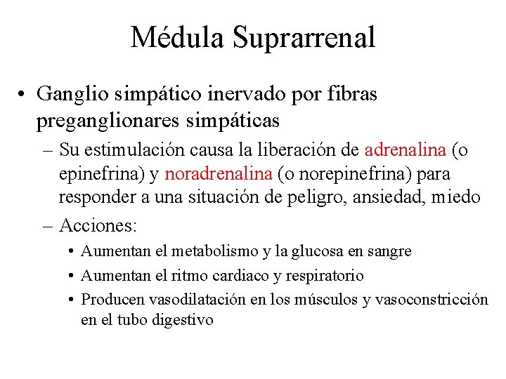 Médula Suprarrenal • Ganglio simpático inervado por fibras preganglionares simpáticas – Su estimulación causa