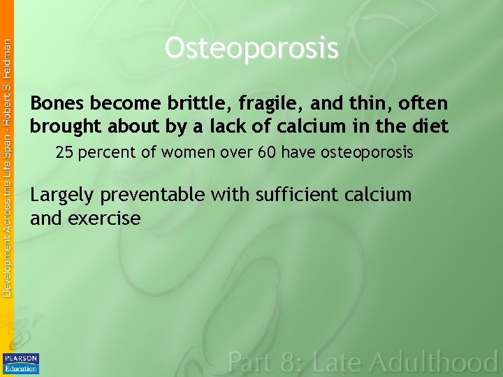 Osteoporosis Bones become brittle, fragile, and thin, often brought about by a lack of