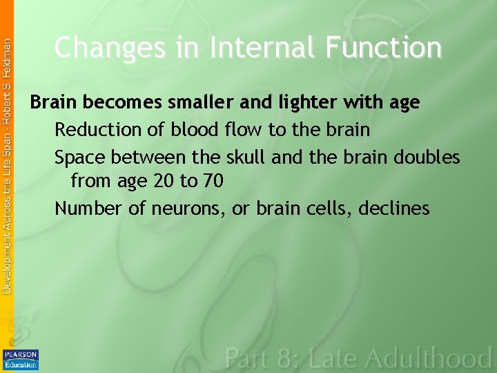 Changes in Internal Function Brain becomes smaller and lighter with age Reduction of blood