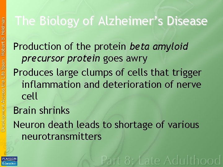 The Biology of Alzheimer’s Disease Production of the protein beta amyloid precursor protein goes