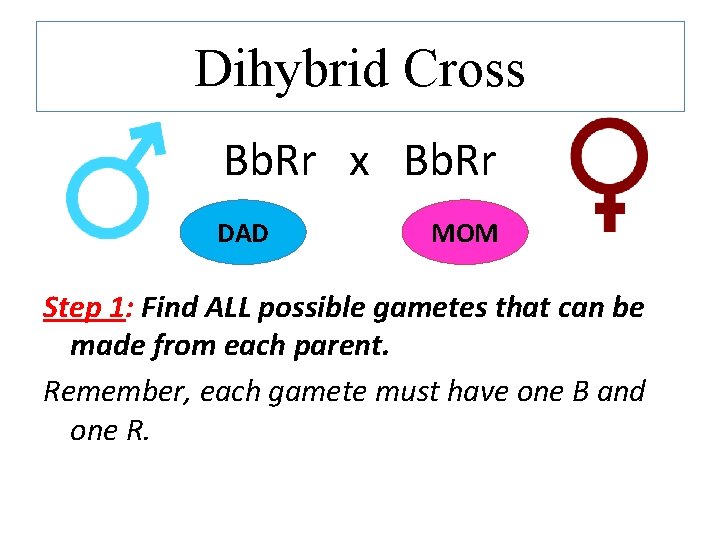 Dihybrid Cross Bb. Rr x Bb. Rr DAD MOM Step 1: Find ALL possible