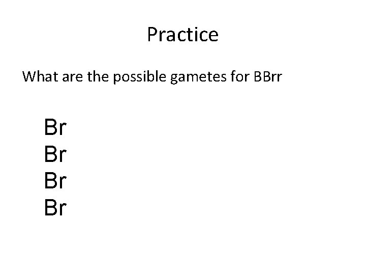 Practice What are the possible gametes for BBrr Br Br 