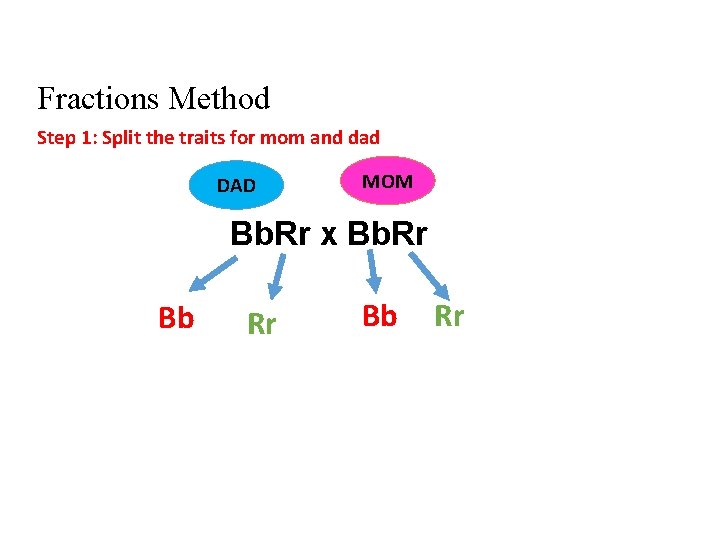 Fractions Method Step 1: Split the traits for mom and dad DAD MOM Bb.