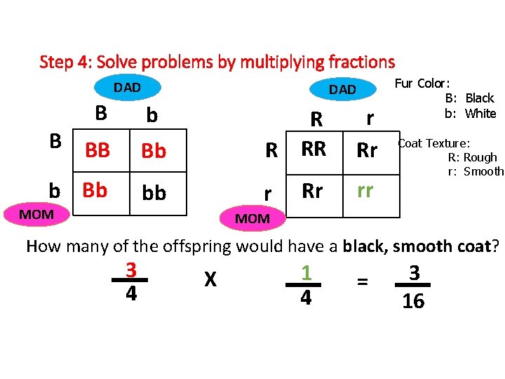 Step 4: Solve problems by multiplying fractions DAD B DAD b r Rr Rr
