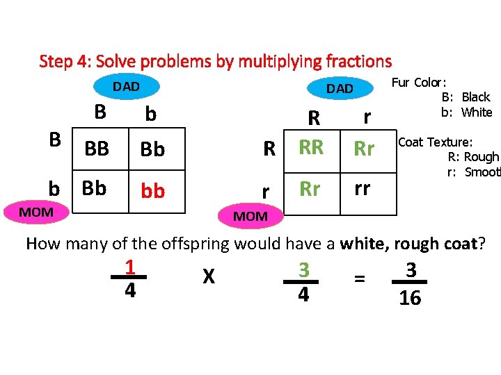 Step 4: Solve problems by multiplying fractions DAD B DAD b r Rr Rr