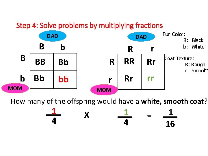 Step 4: Solve problems by multiplying fractions DAD B DAD b r Rr Rr