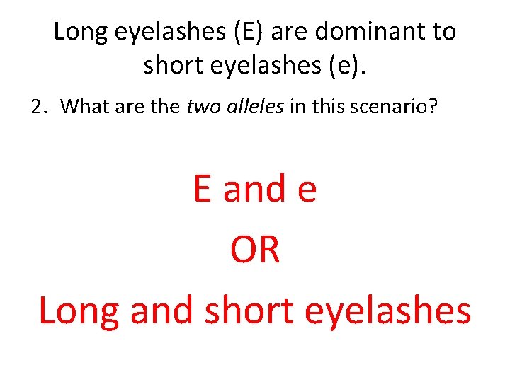Long eyelashes (E) are dominant to short eyelashes (e). 2. What are the two