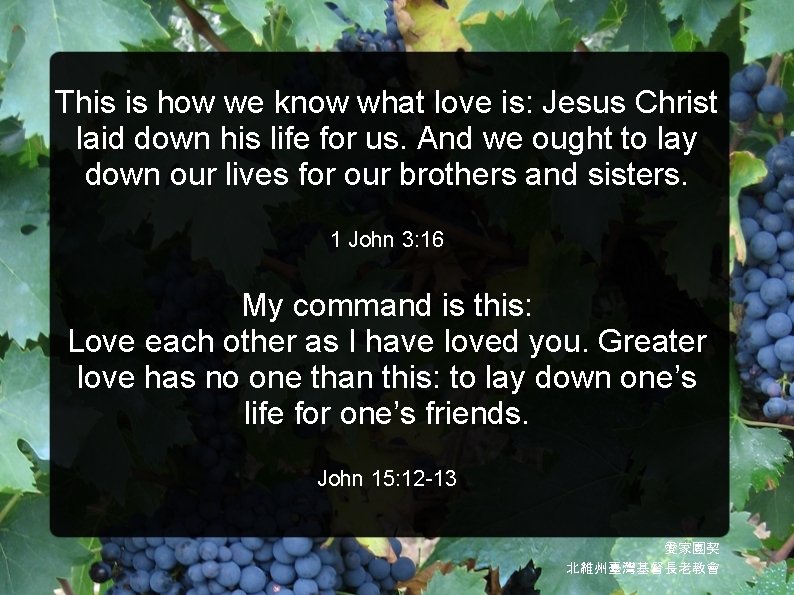 This is how we know what love is: Jesus Christ laid down his life