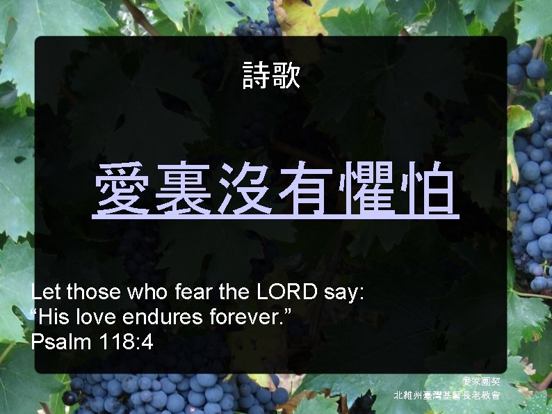 詩歌 愛裏沒有懼怕 Let those who fear the LORD say: “His love endures forever. ”