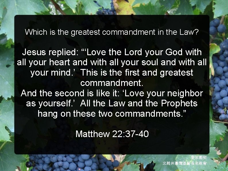 Which is the greatest commandment in the Law? Jesus replied: “‘Love the Lord your