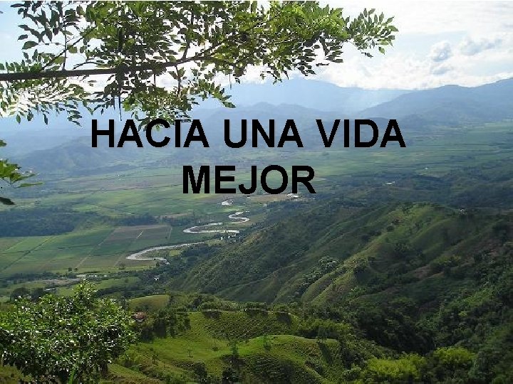 HACIA UNA VIDA MEJOR HACIA UNA VIDA MEJOR