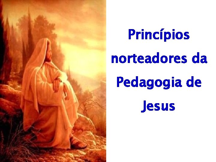 Princípios norteadores da Pedagogia de Jesus 