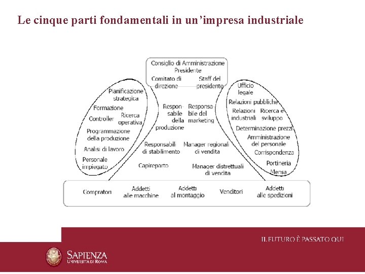 Le cinque parti fondamentali in un’impresa industriale 