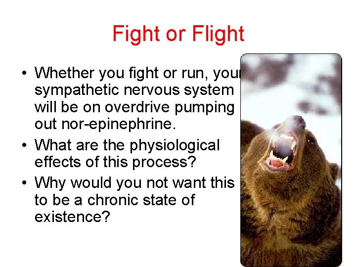 Fight or Flight • Whether you fight or run, your sympathetic nervous system will