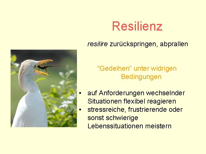 Resilienz resilire zurückspringen, abprallen ”Gedeihen” unter widrigen Bedingungen • auf Anforderungen wechselnder Situationen flexibel