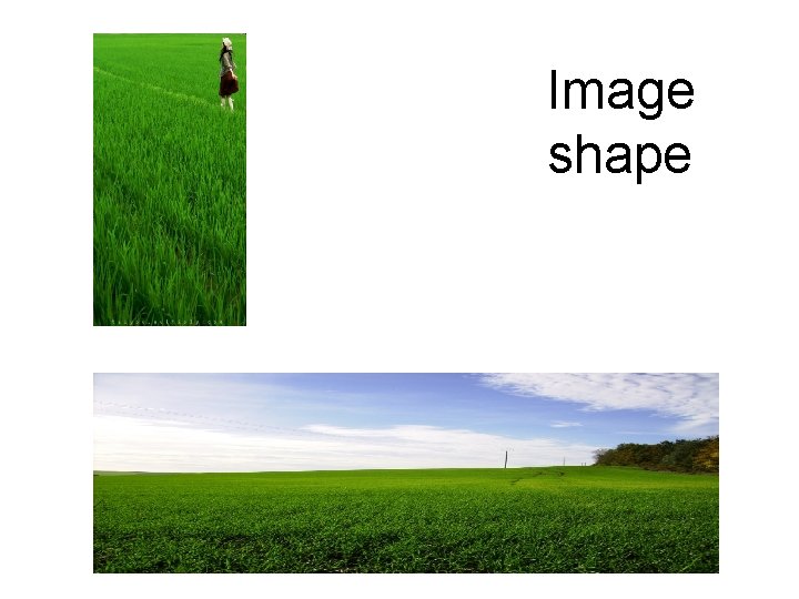 Image shape 