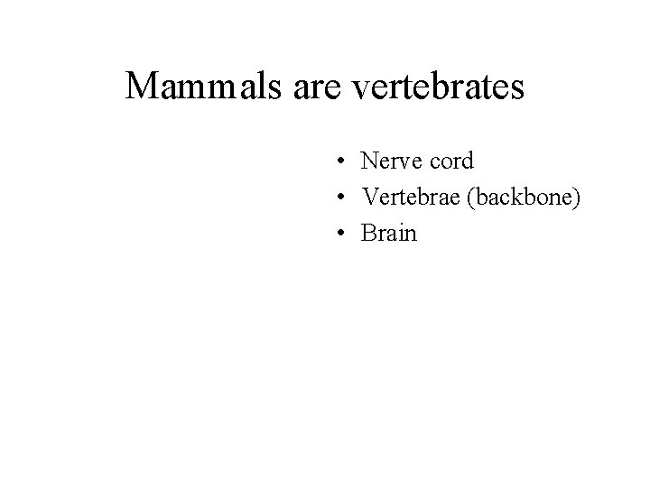 Mammals are vertebrates • Nerve cord • Vertebrae (backbone) • Brain Mammals are vertebrates • Nerve cord • Vertebrae (backbone) • Brain