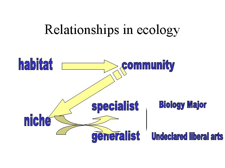 Relationships in ecology Relationships in ecology