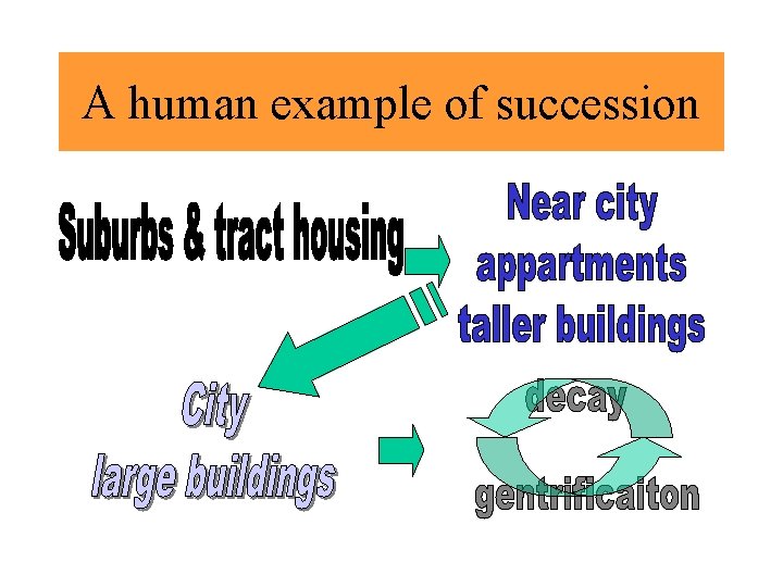A human example of succession A human example of succession
