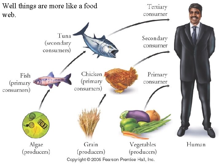 Well things are more like a food web. Well things are more like a food web.