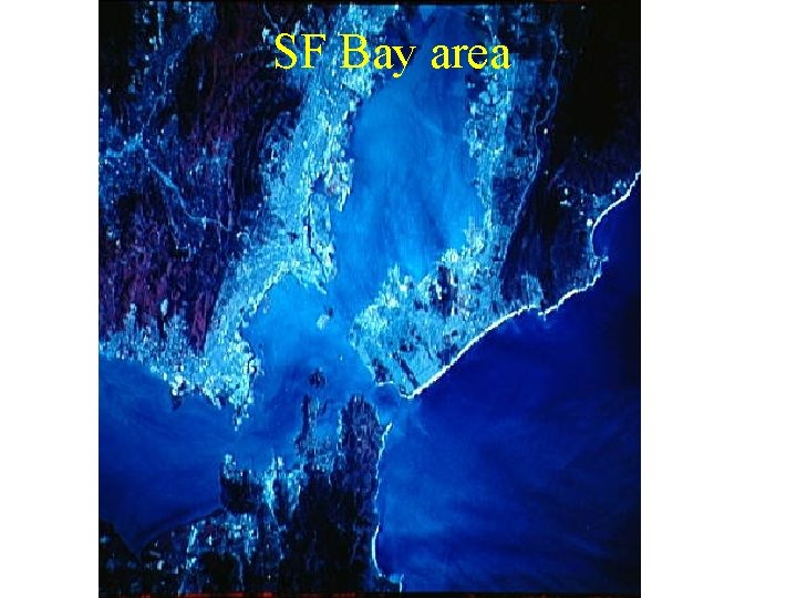 SF Bay area SF Bay area